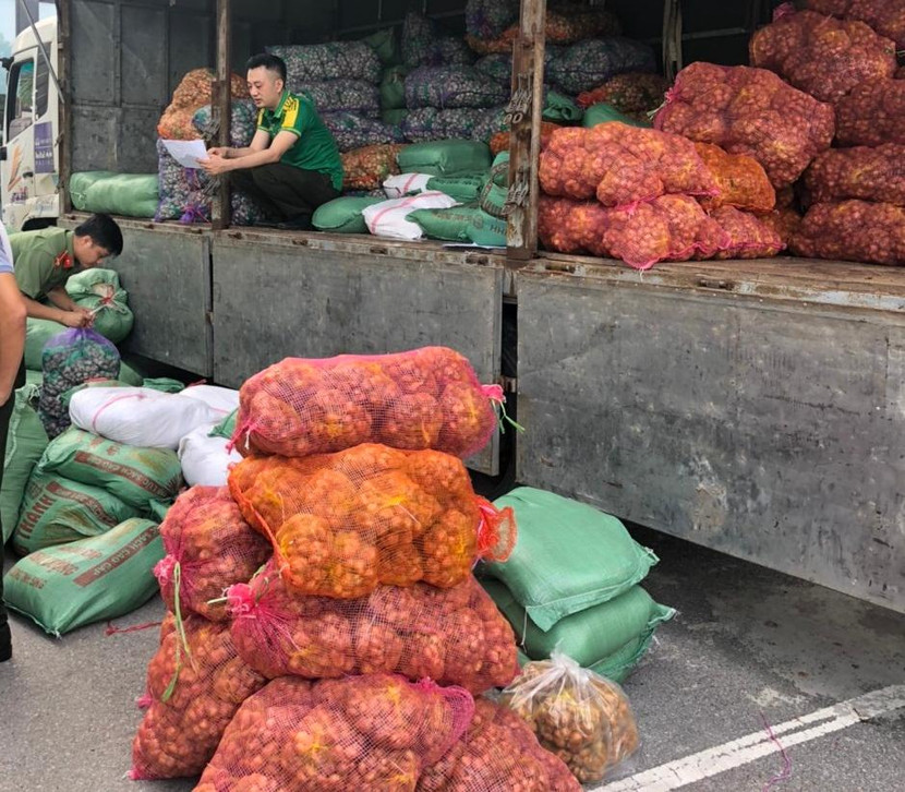 Những chiếc xe tải chở nông sản của nhân dân 2 tỉnh Hải Dương - Nam Định Những chiếc xe tải chở nông sản của nhân dân 2 tỉnh Hải Dương - Nam Định