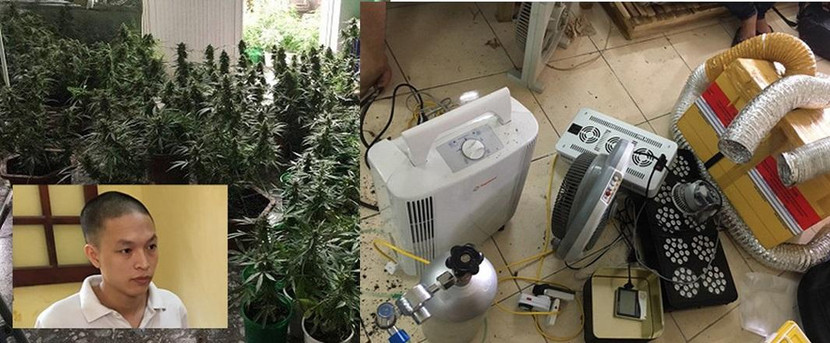 Đối tượng Hoàng Gia Phú và một số loại máy móc đối tượng cùng đồng bọn dùng để chăm sóc vườn cần sa