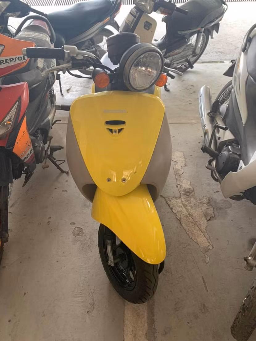 Tang vật thu giữ