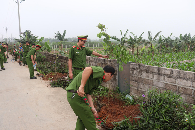 250 cay Ban Tây Bắc được trồng mới tại đường liên xã thuộc xã Thuần Mỹ