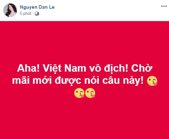 Mừng Việt Nam vô địch AFF Cup, Facebook "sao Việt" ngập sắc đỏ ảnh 2