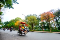 Hà Nội thơ mộng trong mùa cây thay lá