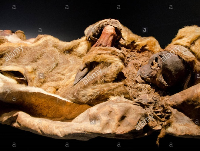Ám ảnh ánh mắt của xác ướp bé trai 6 tháng tuổi bị chôn sống theo mẹ ảnh 12 Ám ảnh ánh mắt của xác ướp bé trai 6 tháng tuổi bị chôn sống theo mẹ ảnh 12