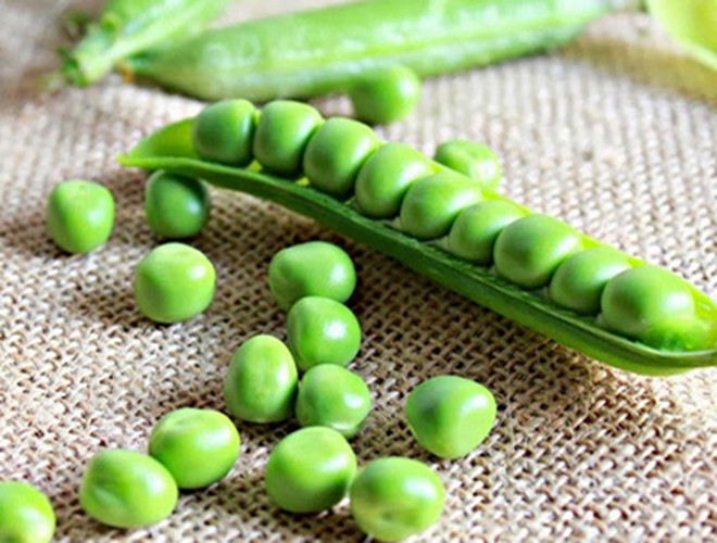 Ở Ý, hầu hết những người đang đếm ngược và chờ đón năm mới sẽ có một bát đậu lăng xanh cùng xúc xích với hy vọng một năm thịnh vượng. Ở Ý, hầu hết những người đang đếm ngược và chờ đón năm mới sẽ có một bát đậu lăng xanh cùng xúc xích với hy vọng một năm thịnh vượng.