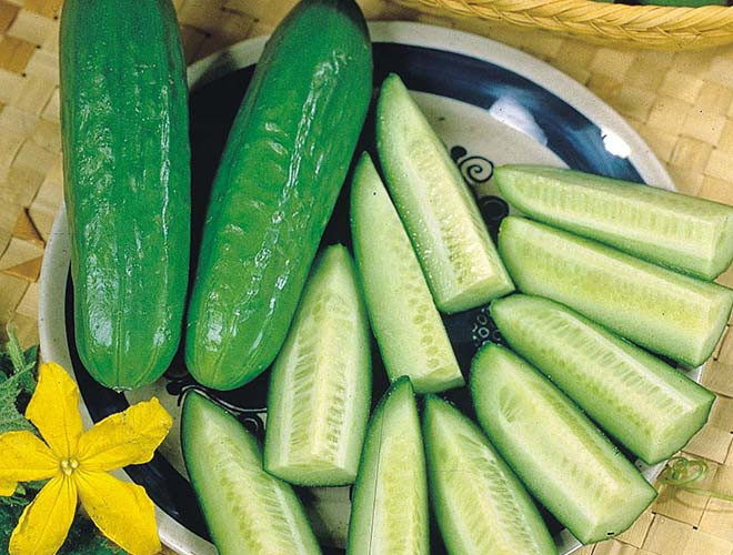 [ẢNH] Uống rượu, bia quá đà là tự gây hại cho sức khỏe ảnh 9