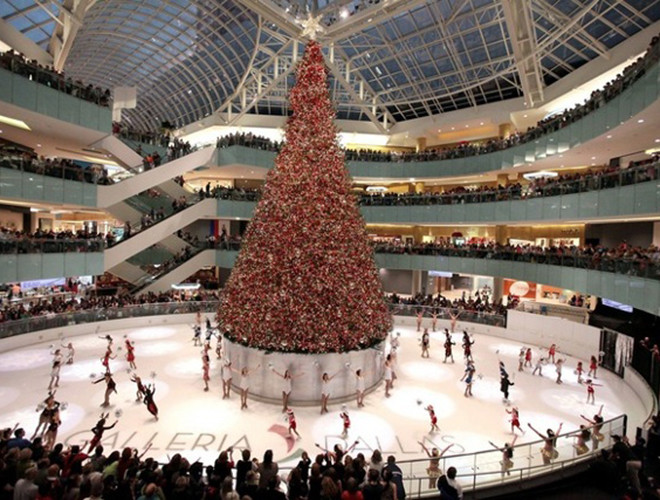 Cây thông trong nhà lớn nhất tại Mỹ. Cây thông đặt trong lòng khu trung tâm Dallas Galleria được xem là cây thông Giáng sinh trong nhà lớn nhất tại Mỹ với hơn 10.000 đồ trang trí và khoảng 250.000 chiếc đèn gắn trên đó Cây thông trong nhà lớn nhất tại Mỹ. Cây thông đặt trong lòng khu trung tâm Dallas Galleria được xem là cây thông Giáng sinh trong nhà lớn nhất tại Mỹ với hơn 10.000 đồ trang trí và khoảng 250.000 chiếc đèn gắn trên đó