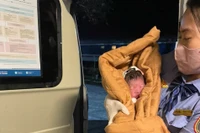 Một hành khách nhí vừa chào đời trên tàu Thống Nhất 