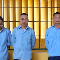 Triệt phá đường dây môi giới mua bán bộ phận cơ thể người qua mạng xã hội 