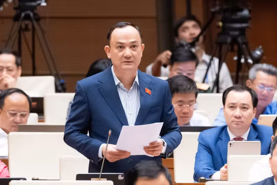 Rất khó ổn định thị trường bất động sản khi ‘tin đồn quy hoạch’ và đấu giá đất liên tiếp tạo hiệu ứng giá ảo