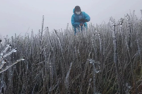 Yêu cầu các tỉnh, thành phố miền Bắc chủ động ứng phó với rét đậm, rét hại