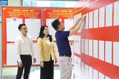 Hà Nội: Đông đảo cử tri theo dõi, tìm hiểu thông tin ứng viên đại biểu Quốc hội và HĐND các cấp