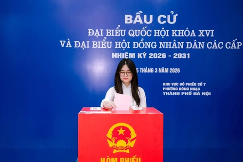 Hà Nội: Đến 17h, 95,79% cử tri đã tham gia bỏ phiếu 