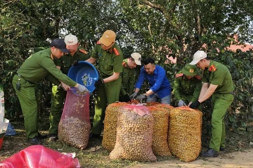Mưa giông, mưa đá gây thiệt hại nặng tại các địa phương