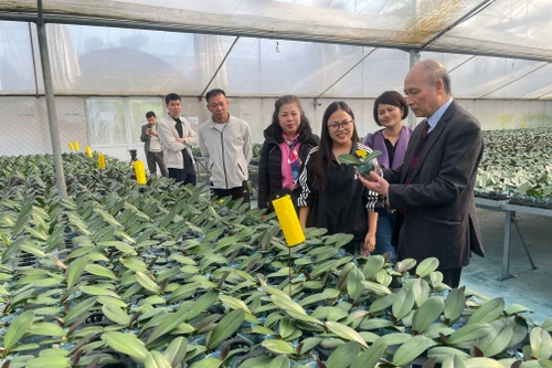 Hai điểm sáng của phong trào xây dựng nông thôn mới ở Hà Nội