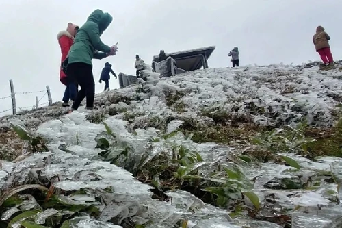 Yêu cầu các tỉnh miền Bắc chủ động ứng phó với rét đậm 