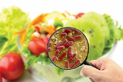 Phối hợp tháo gỡ vướng mắc về an toàn thực phẩm tại cửa khẩu