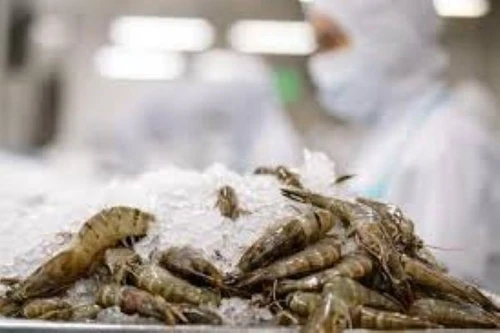 Cảnh báo rủi ro khi giao thương với doanh nghiệp UAE trong bối cảnh xung đột Trung Đông