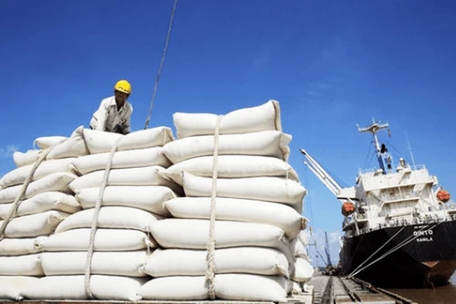 Xuất khẩu gạo của Việt Nam sang Senegal tăng gần 30 lần