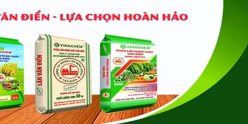 Công ty cổ phần Phân lân nung chảy Văn Điển với công tác bảo vệ môi trường