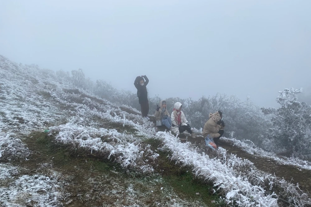 Bắc bộ mưa và rét, vùng núi có thể xuất hiện băng giá do không khí lạnh tràn về