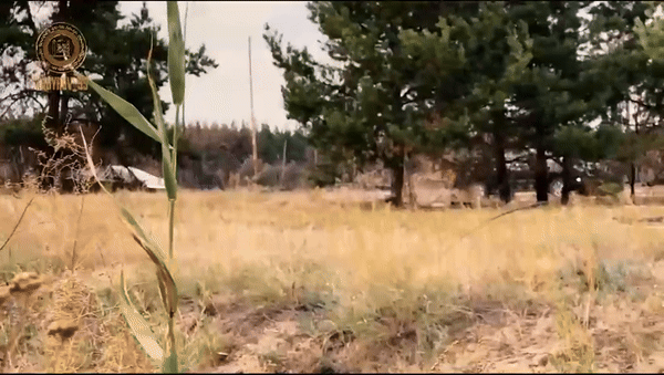 Vì sao không quân Mỹ dùng xe Cybertruck của Tesla làm mục tiêu cho tên lửa?