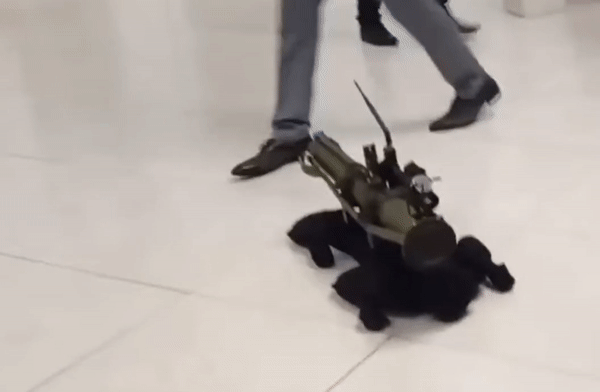 Robot chó M-81 mang súng phóng lựu Nga vừa ra mắt là công nghệ Trung Quốc?