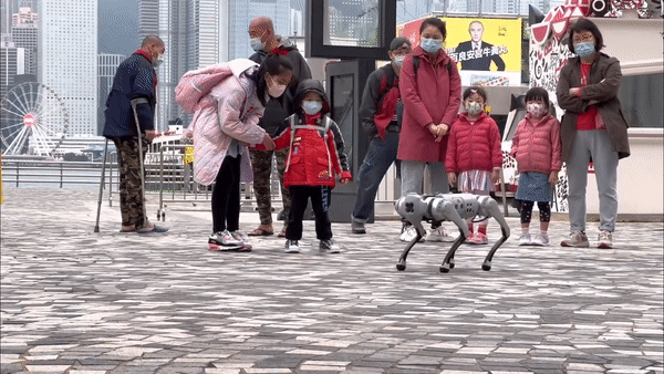 Robot chó M-81 mang súng phóng lựu Nga vừa ra mắt là công nghệ Trung Quốc?