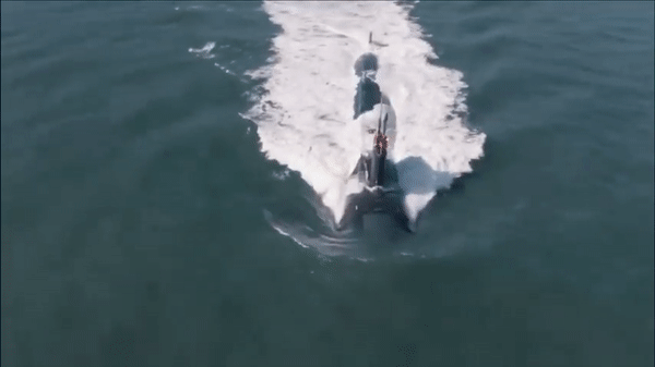 Quá tốn thời gian và tiền bạc để sửa tàu ngầm hạt nhân 'sói biển' của Mỹ