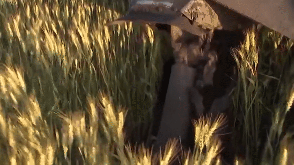 Nga đăng video 'hỏa thần nhiệt áp' TOS-1A 'thiêu rụi' mục tiêu của quân đội Ukraine