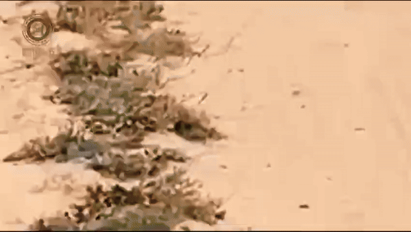 Vì sao không quân Mỹ dùng xe Cybertruck của Tesla làm mục tiêu cho tên lửa?