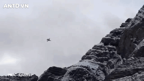 F-5E, từ phận ‘quân xanh’ vụt trở thành tiêm kích chủ lực của nhiều nước