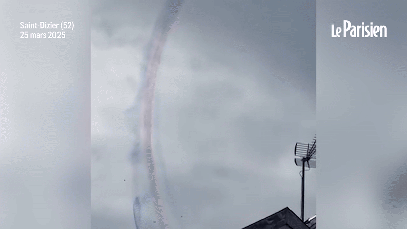 Video được truyền thông Pháp công bố cho thấy biên đội 6 chiếc Alpha Jet thực hiện cú nhào lộn trong lúc thả khói màu tạo hình quốc kỳ.