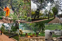 Xoá bỏ "vách ngăn" thép, Công viên Bách Thảo đưa thiên nhiên sát gần người dân Thủ đô