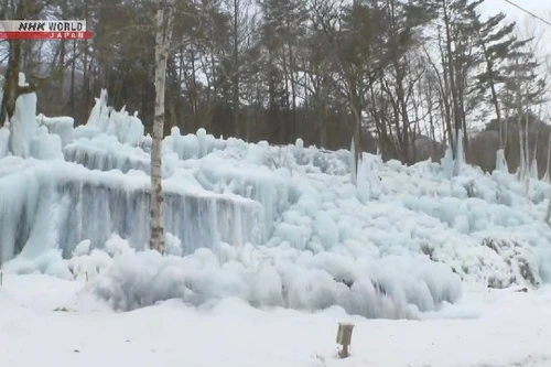 Trải nghiệm hiếm có trong ‘khu rừng băng’ ở độ cao 1.000m