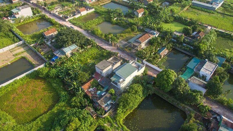 Chuyển đất nông nghiệp sang thổ cư: Đề xuất giảm 70% tiền sử dụng đất