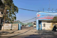 Hải Phòng báo cáo gì về kiểm tra, giám sát vệ sinh thú y đối với Công ty đồ hộp Hạ Long?