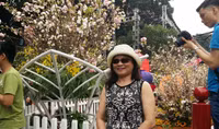 [Ảnh] Người dân Hà Nội chen chân chụp ảnh bên hoa anh đào Nhật Bản