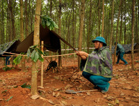 Bộ đội Hà Nội thi bắn súng trường, gói thuốc nổ, võ chiến đấu