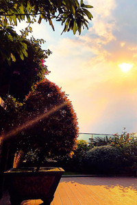 Ngắm villa trên không rộng hơn 200m2 của Nathan Lee