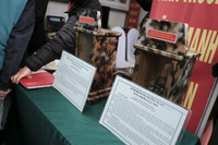 Giới trẻ quan tâm tìm kiếm định hướng nghề nghiệp đến mức độ nào?