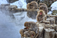 [Ảnh] Những khoảnh khắc ấn tượng về gia đình trên khắp thế giới