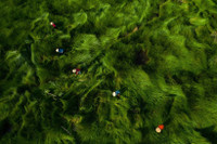 [ẢNH] Việt Nam đẹp ngỡ ngàng từ góc nhìn...trên mây