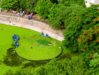 Hình ảnh người Hà Nội ứng xử văn minh, thanh lịch