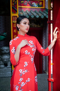 Hoa hậu Tiểu Vy khoe sắc trong trang phục áo dài đón Tết