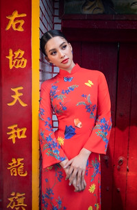 Hoa hậu Tiểu Vy khoe sắc trong trang phục áo dài đón Tết