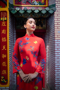 Hoa hậu Tiểu Vy khoe sắc trong trang phục áo dài đón Tết