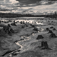 [Ảnh] Ấn tượng các bức ảnh đoạt giải Sony World Photography Awards 2019