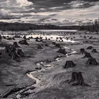 [Ảnh] Ấn tượng các bức ảnh đoạt giải Sony World Photography Awards 2019