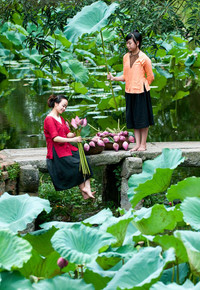 [ẢNH] Tìm lại vẻ đẹp xưa cũ bên những bức hình thiếu nữ và sen