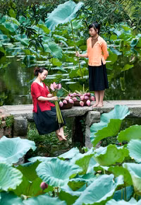 [ẢNH] Tìm lại vẻ đẹp xưa cũ bên những bức hình thiếu nữ và sen